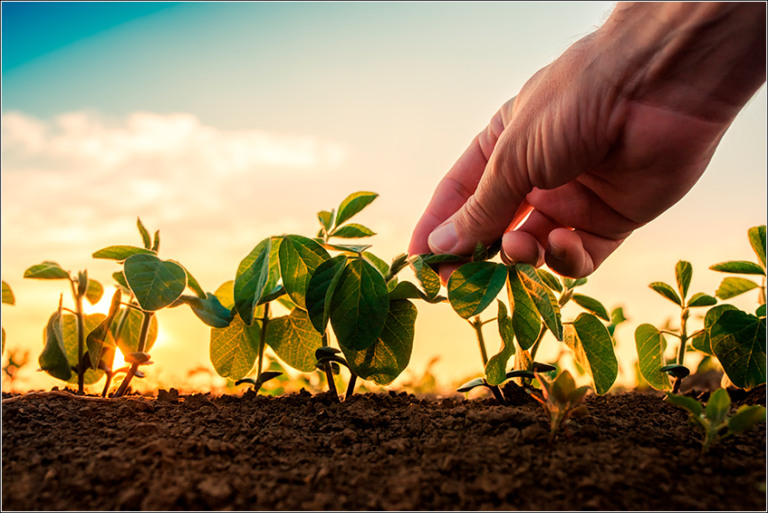 A iniciativa da FERA que transforma o campo Brasileiro