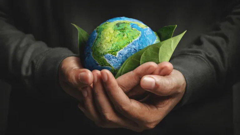 Do solo ao carbono: As soluções do Imaflora para uma agricultura de baixo impacto ambiental