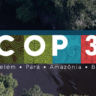 Mercado de carbono e PSA: entenda como o Brasil pode liderar na COP30
