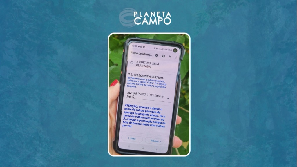 Aplicativo da Embrapa facilita certificação de orgânicos em Campinas