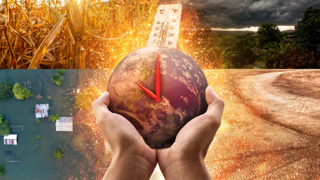 Produtor rural já pode calcular risco climático da propriedade com sistema do IPAM