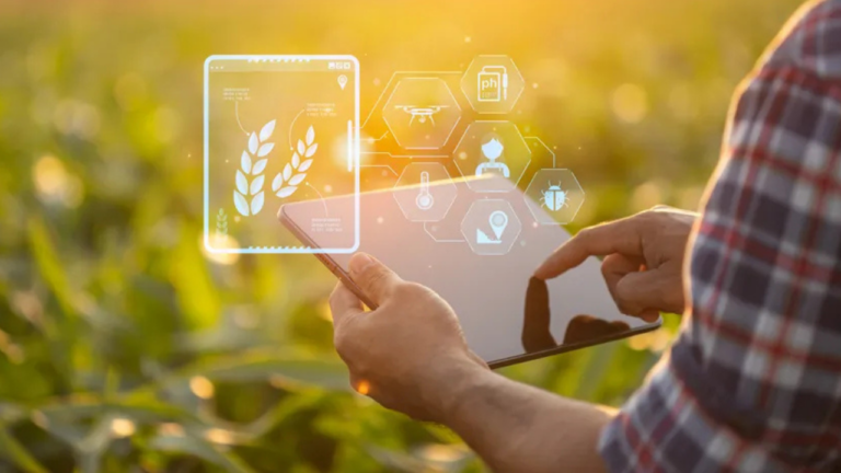 Plataforma com inteligência artificial promete decisões mais sustentáveis no campo