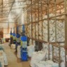 Mato Grosso devolveu mais de 20 mil toneladas de embalagens agrícolas na última safra – Foto: Reprodução