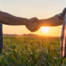 Ano Internacional das Cooperativas destaca papel essencial do cooperativismo no agronegócio