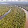 “Amazônia precisa de inovação, gente e investimento”, diz Denis Minev