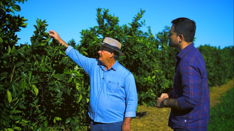 Elton Sentinello mantém a produção de laranja no Sítio Reunidos com foco em qualidade e sustentabilidade. – Foto: Renato Medeiros
