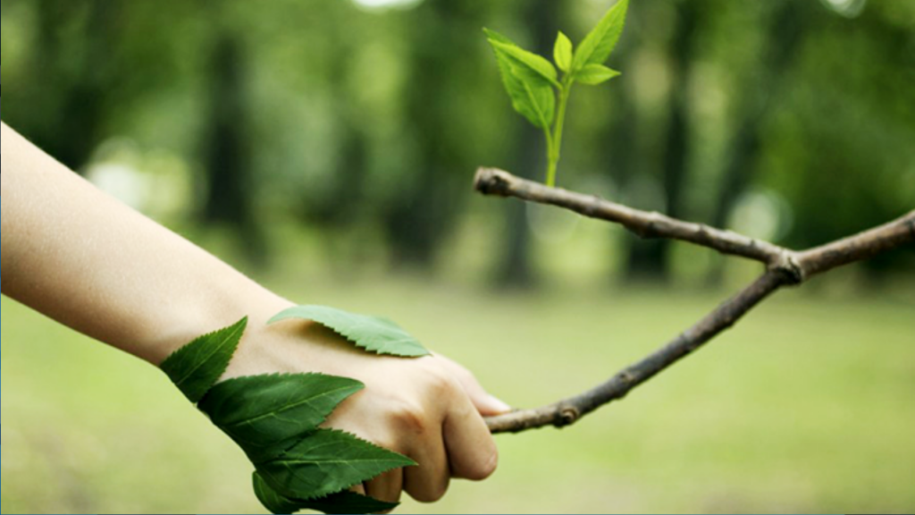 Licenciamento ambiental: vetos de Lula impactam o agro e geram debate