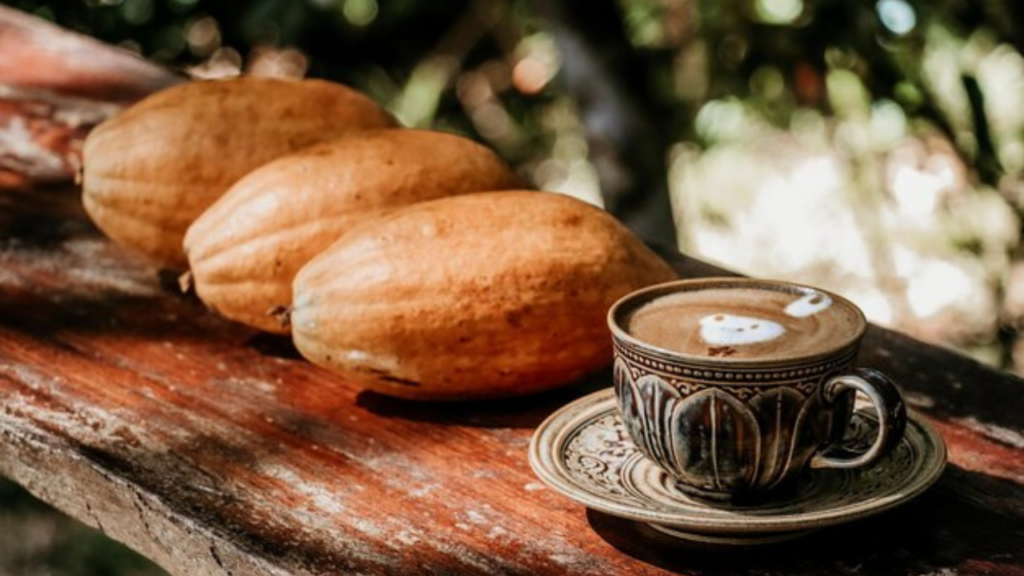 Nestlé vai restaurar 8 mil hectares de café e cacau na Bahia e no Pará