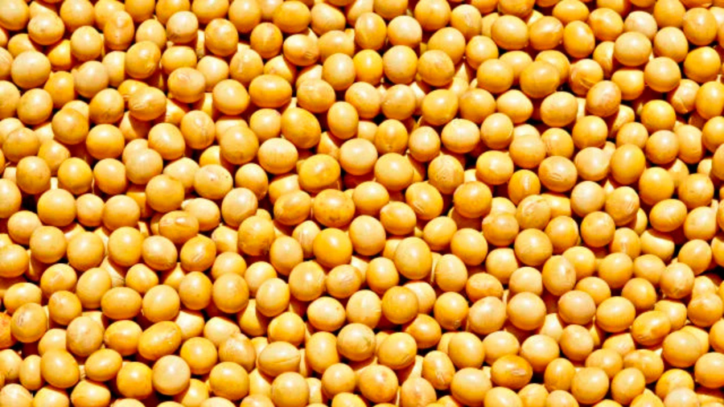 CADE suspende acordo setorial da soja e abre processo contra empresas