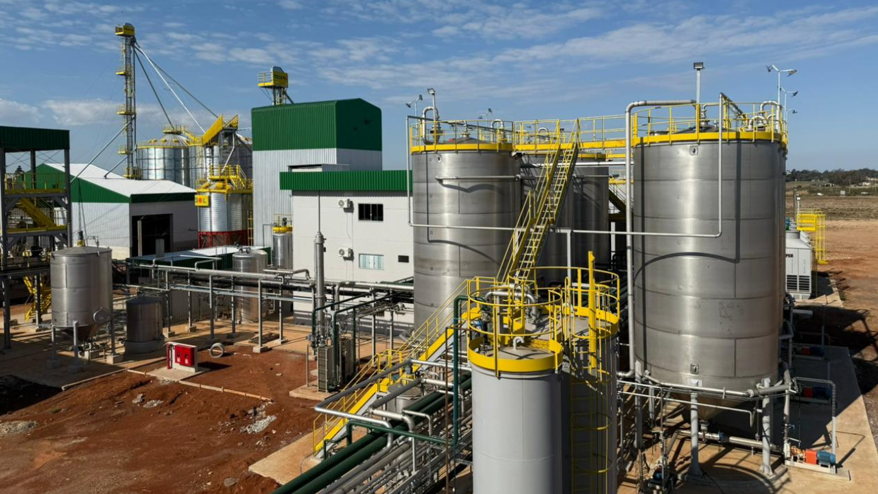 Etanol de trigo impulsiona economia circular no Brasil
