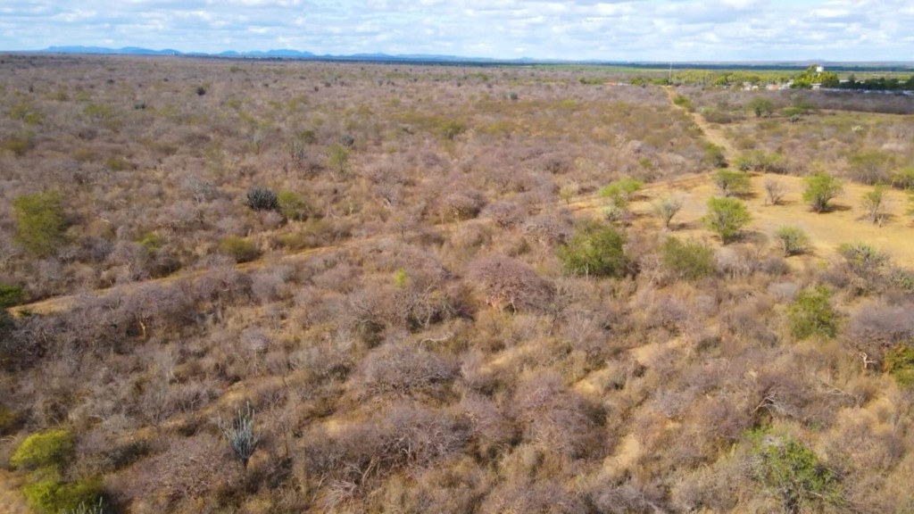 Diálogos pelo Clima reúne especialistas para debates sobre a Caatinga - Foto: Renato Medeiros