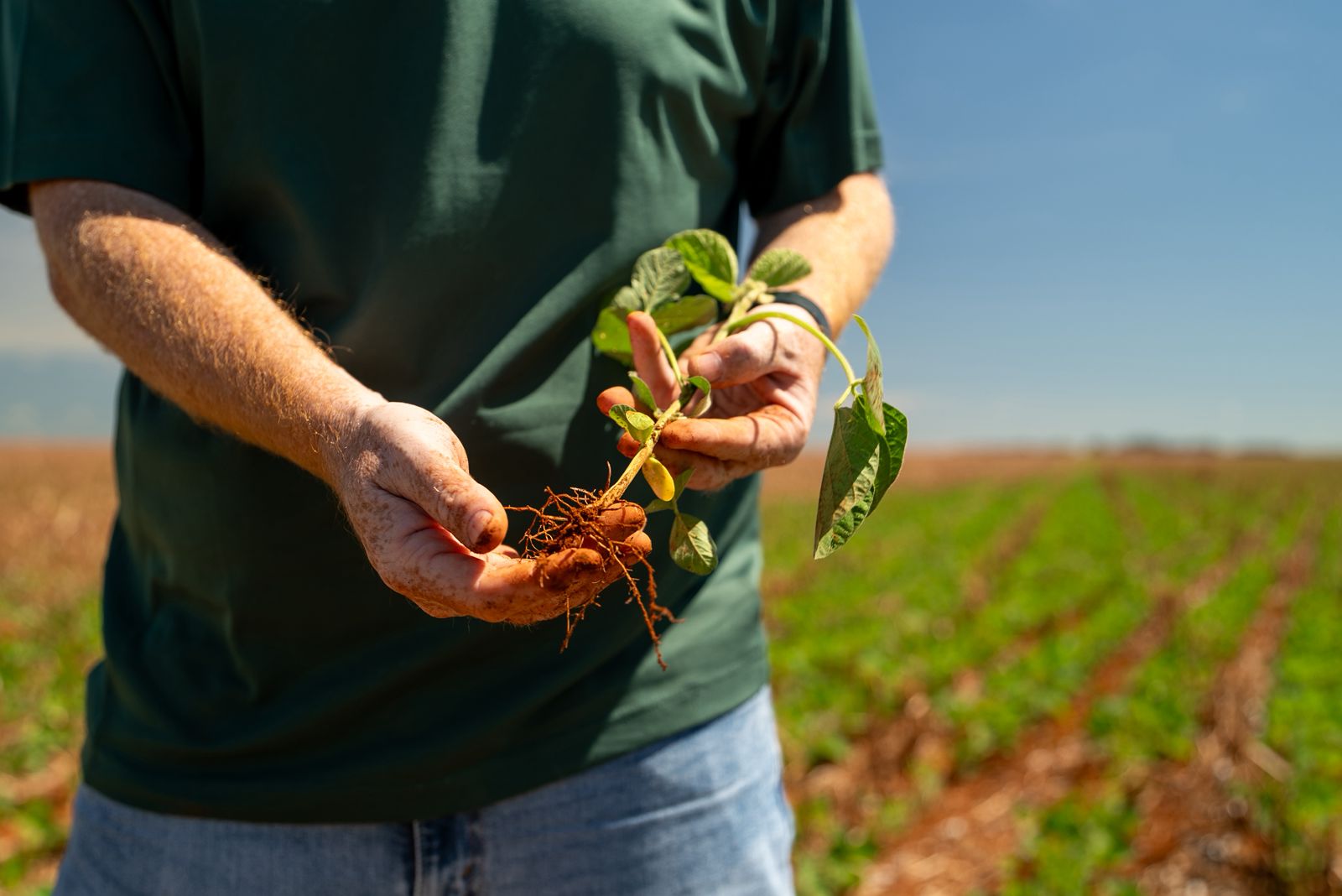 Crédito para a agricultura familiar cai cerca de 30% no Rio Grande do Sul