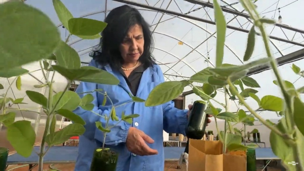 Prêmio; Mariangela Hungria