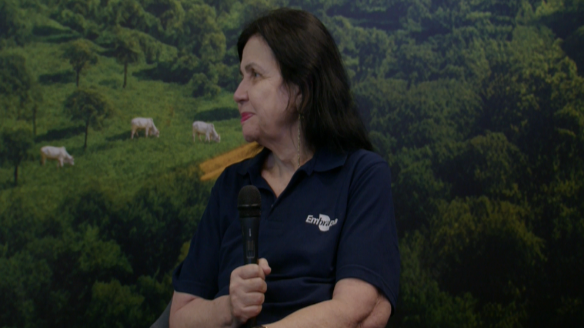 Reprodução Canal Rural