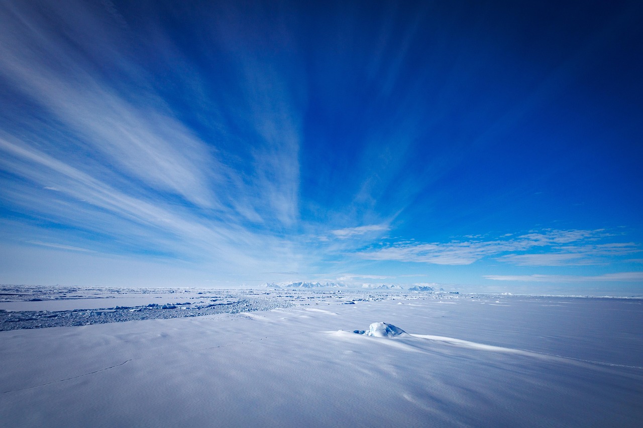 Antártica