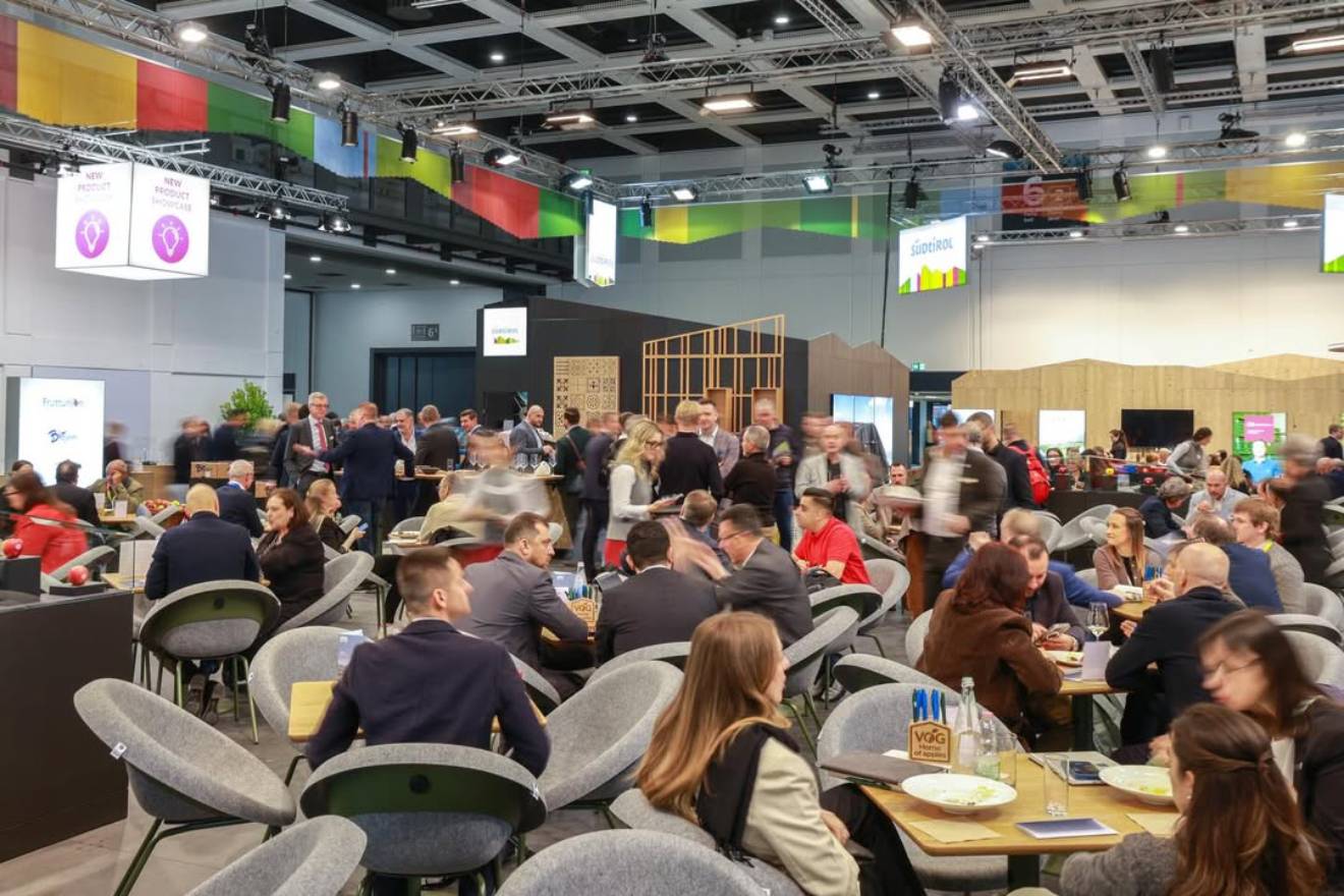 Produtores brasileiros buscam novos mercados na Fruit Logistica 2026, em Berlim