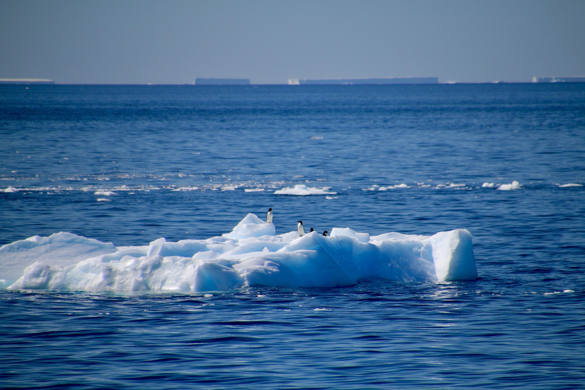 Antártica