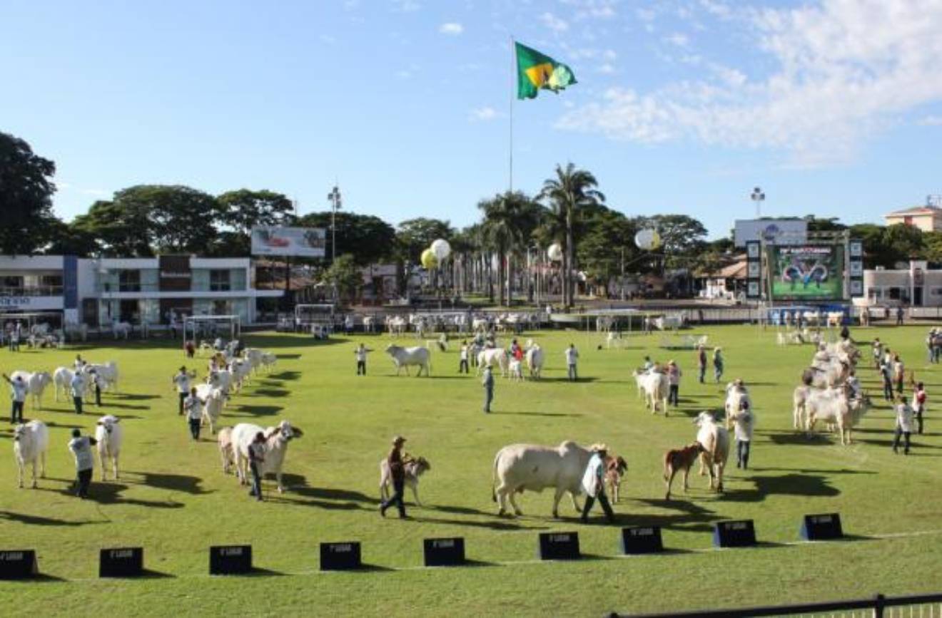 Expozebu