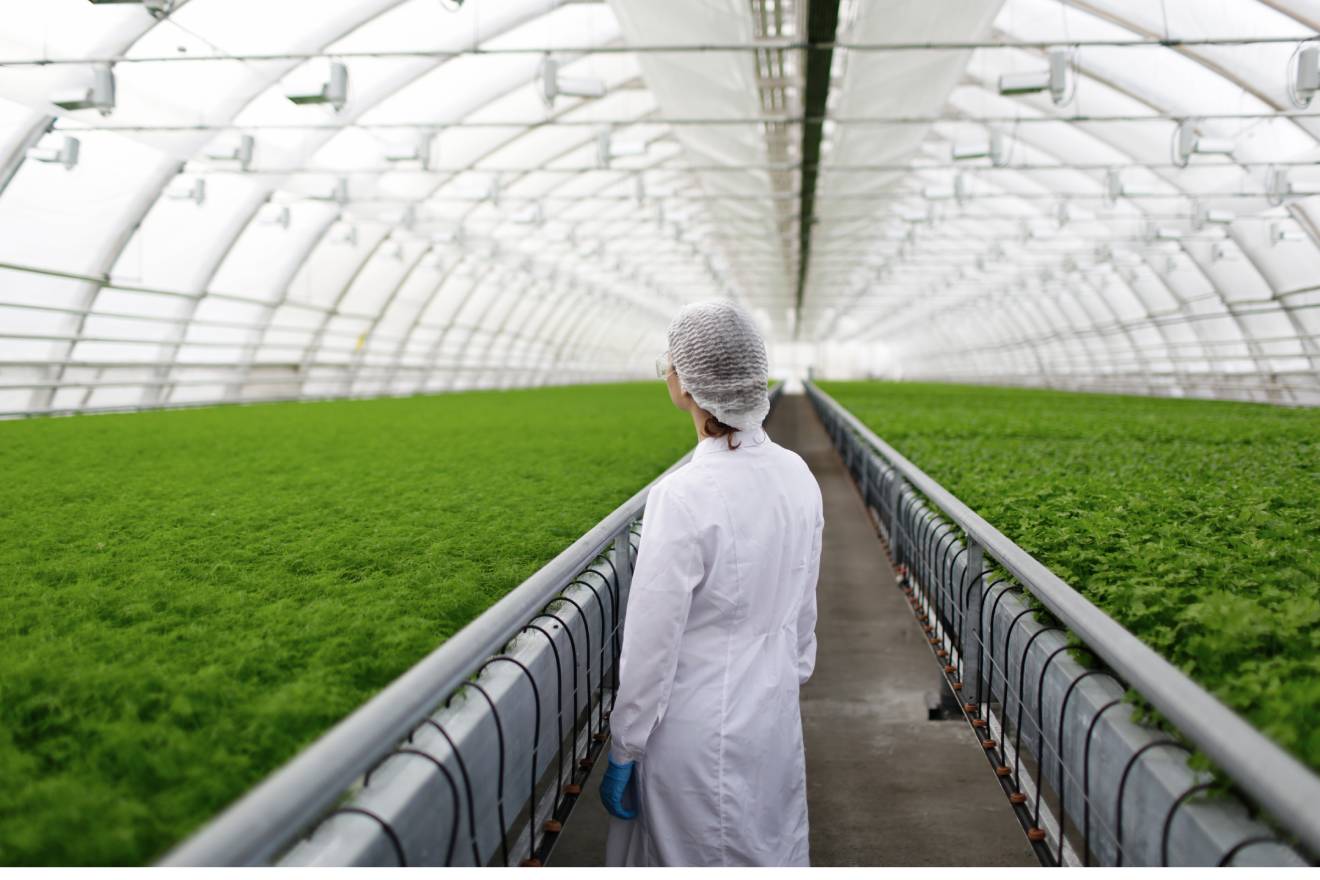 agricultura