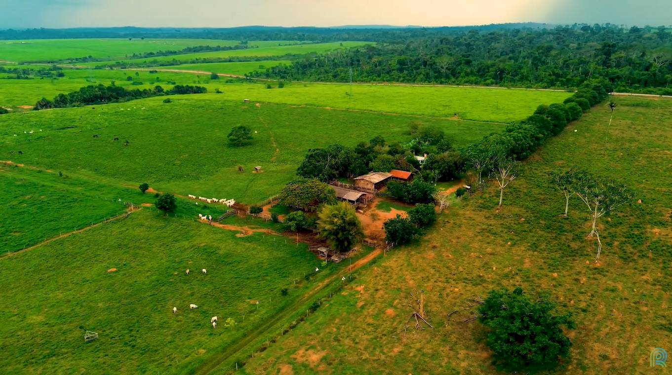 Fazenda Caruru MT