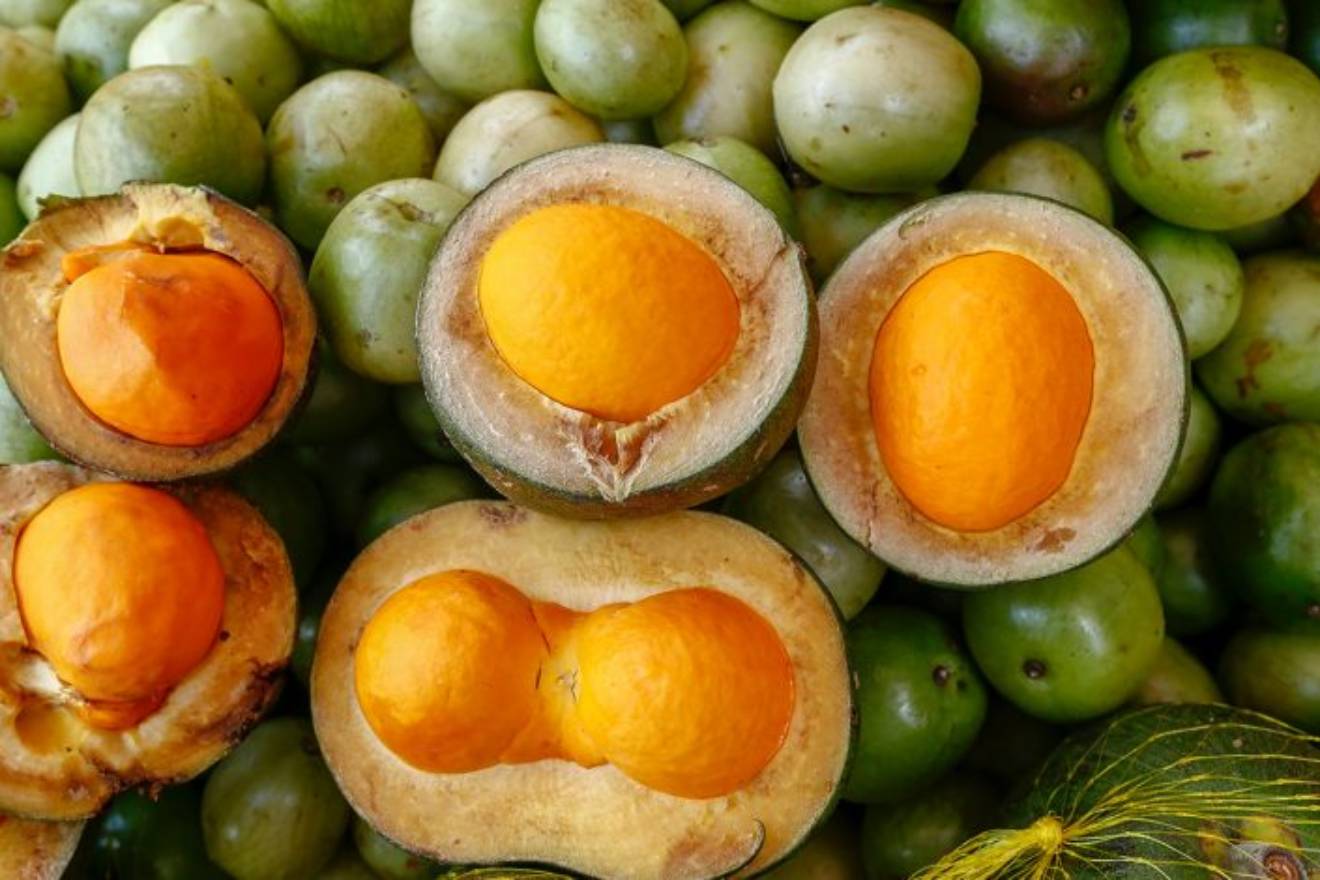 Pequi