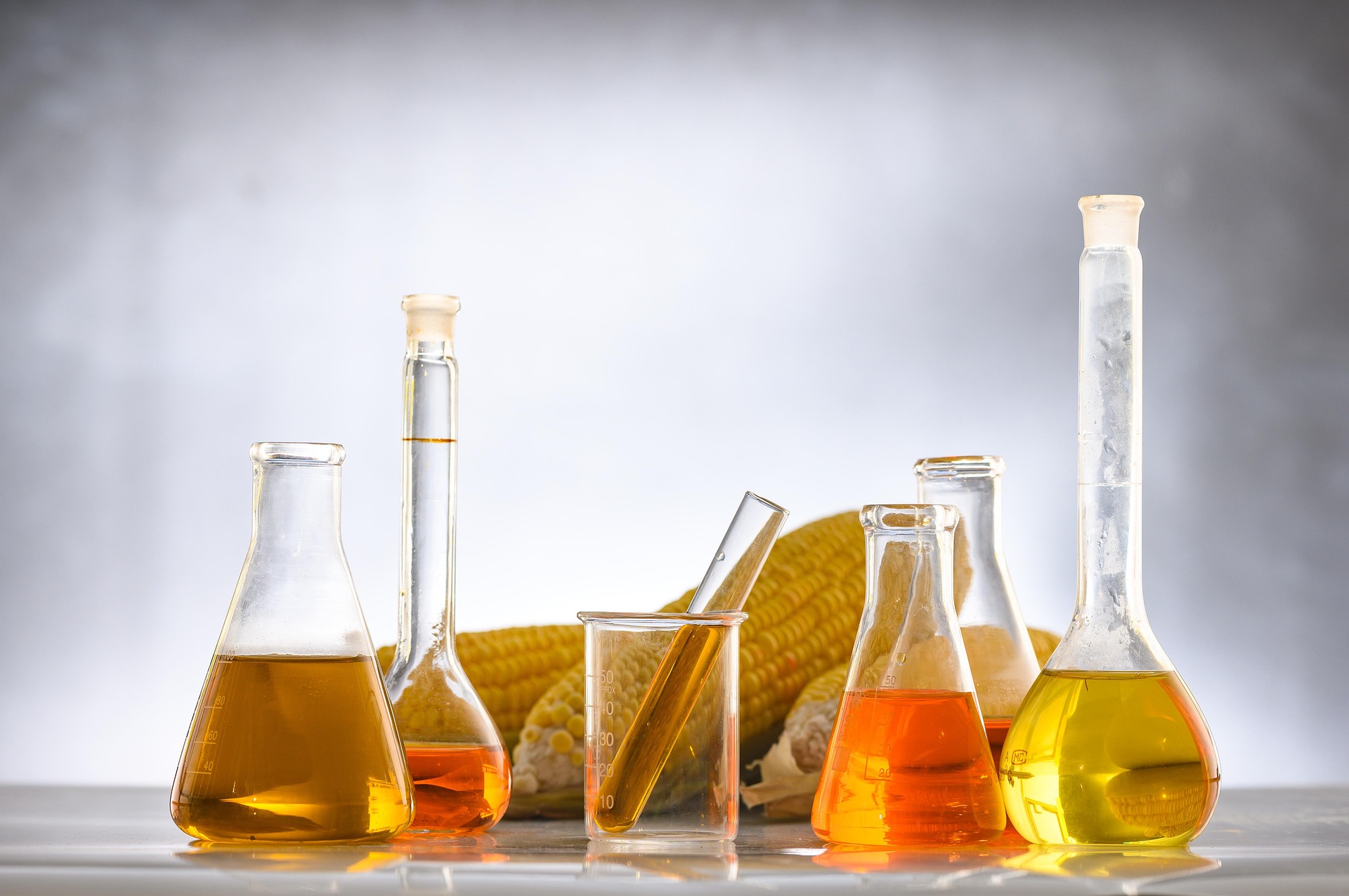 biodiesel