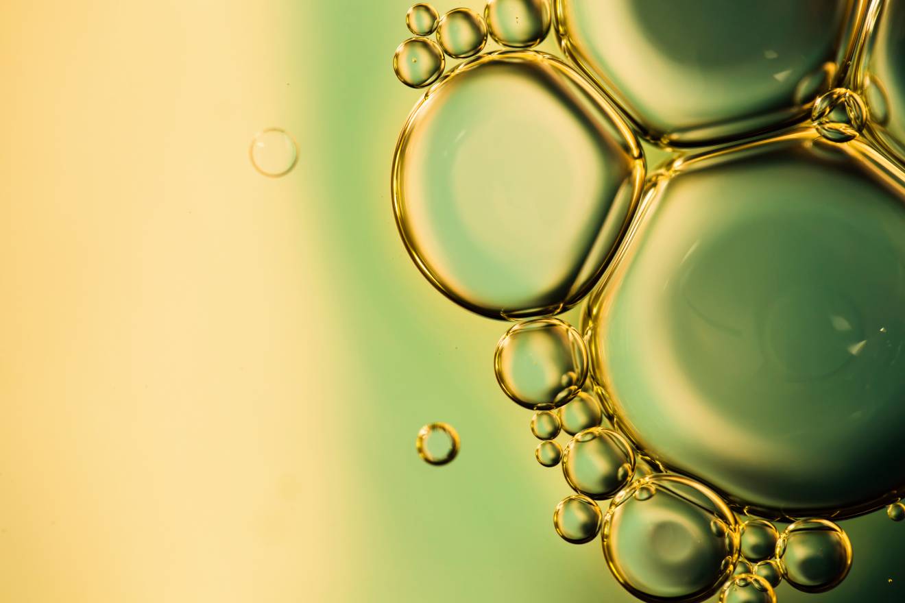 biodiesel