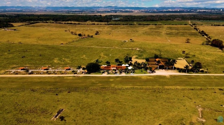 Fazenda São Clemente SP