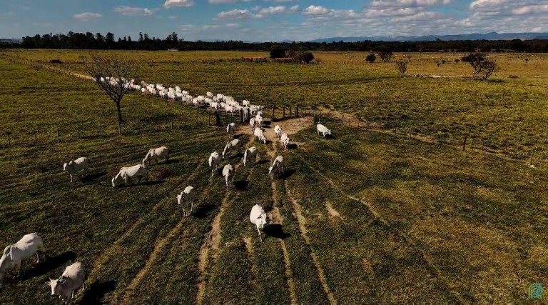 Fazenda Nota 10