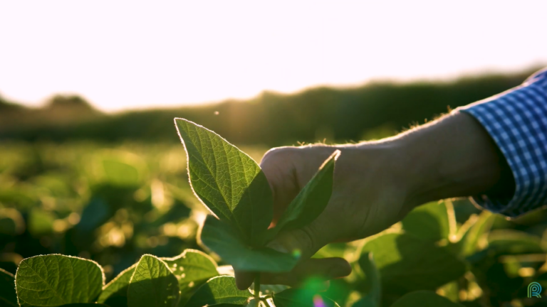 agricultura