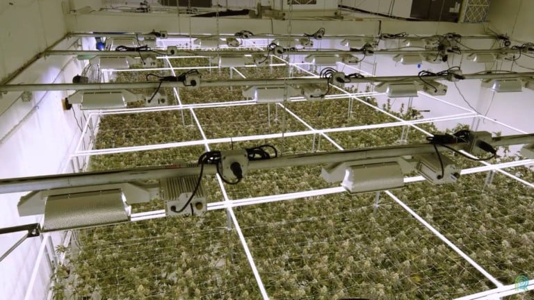 agricultura