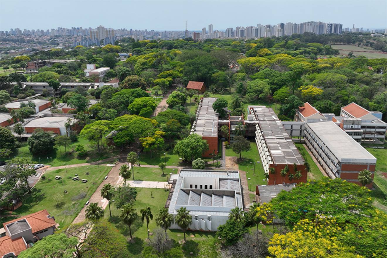 Melhores do Mundo em Sustentabilidade